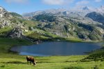 lagos_de_covadonga_taxi